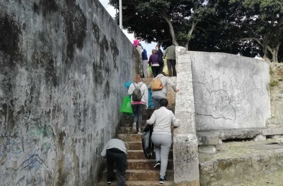  - CERCIOEIRAS