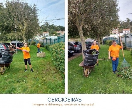 2 - CERCIOEIRAS