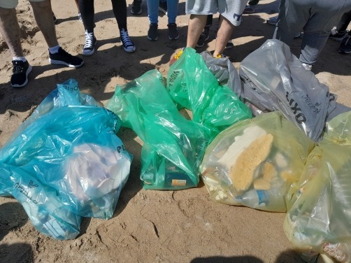 ação voluntariado limpeza praia da CERCIOEIRAS
