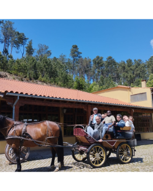  - CERCIOEIRAS