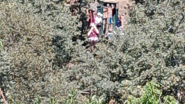  - CERCIOEIRAS