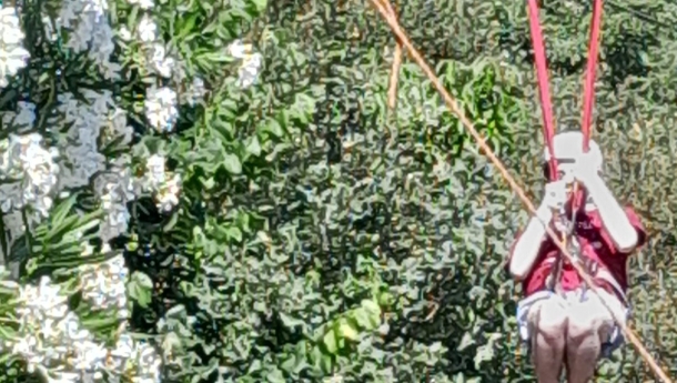  - CERCIOEIRAS