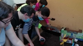 Ação pela Natureza - 3 em 1 - CERCIOEIRAS